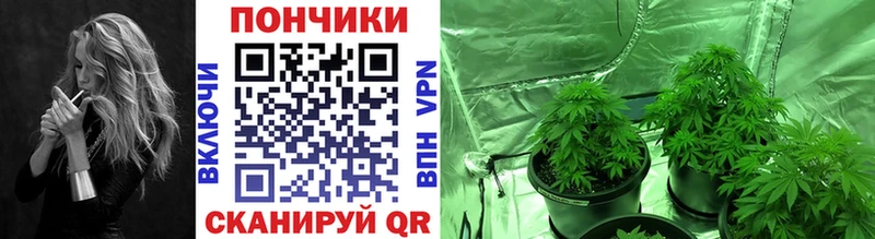 Виды наркоты Дальнегорск Марихуана блэк спрут рабочий сайт APVP Гашиш Кокаин